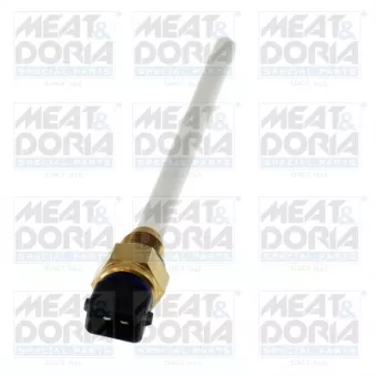 Capteur, niveau d'huile moteur MEAT & DORIA 72438