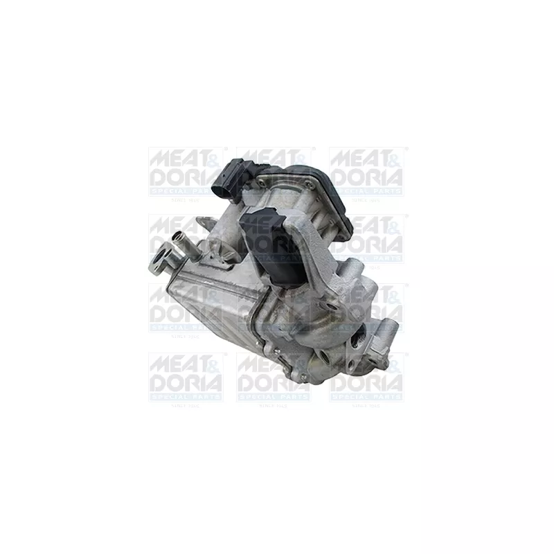 Module-EGR MEAT & DORIA 88378E