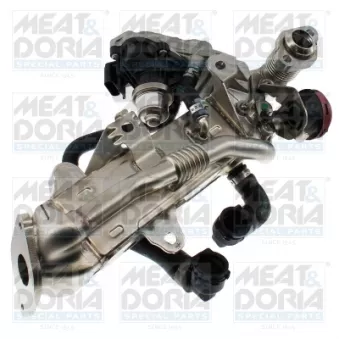 Module-EGR MEAT & DORIA 88804