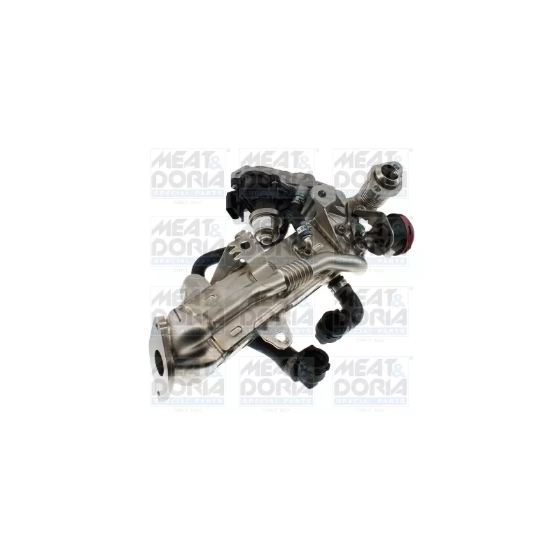 Module-EGR MEAT & DORIA 88804R