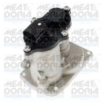 Vanne EGR MEAT & DORIA 88900