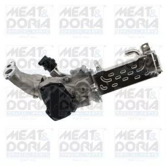 Module-EGR MEAT & DORIA 88951