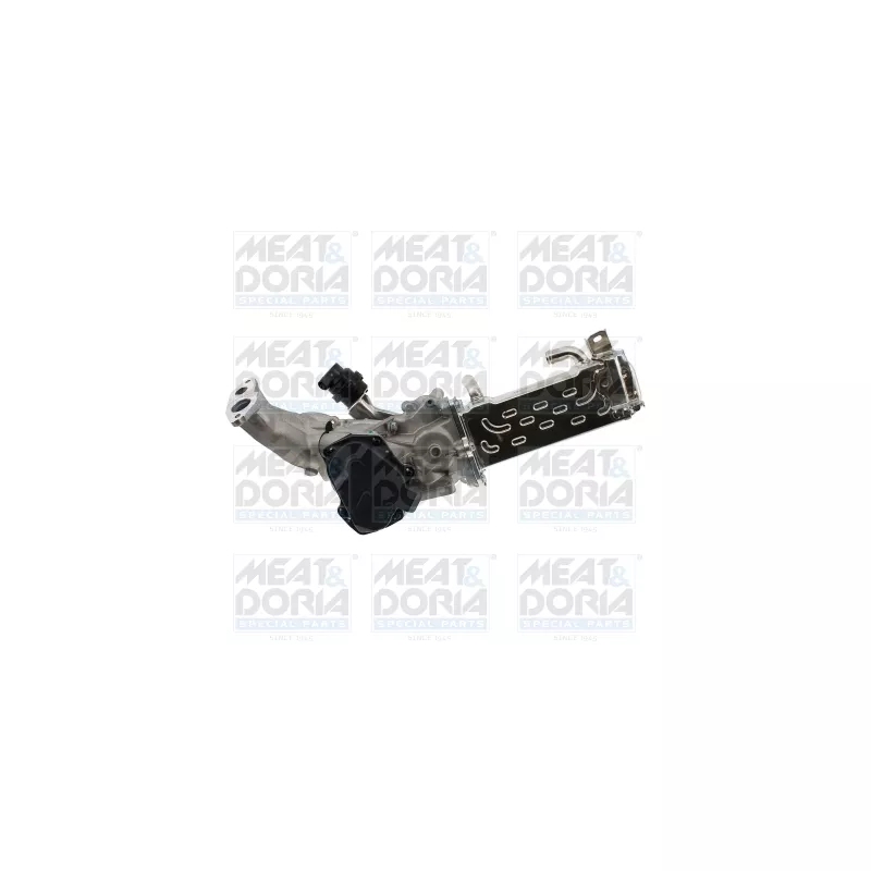 Module-EGR MEAT & DORIA 88951