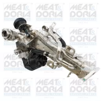 Module-EGR MEAT & DORIA 88959R