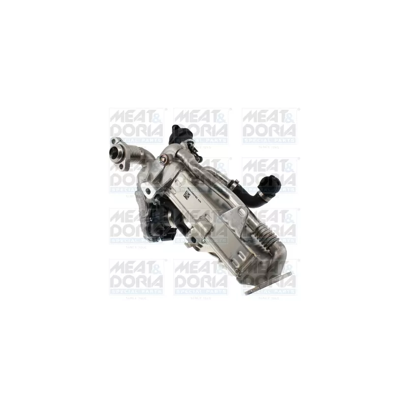 Module-EGR MEAT & DORIA 88966