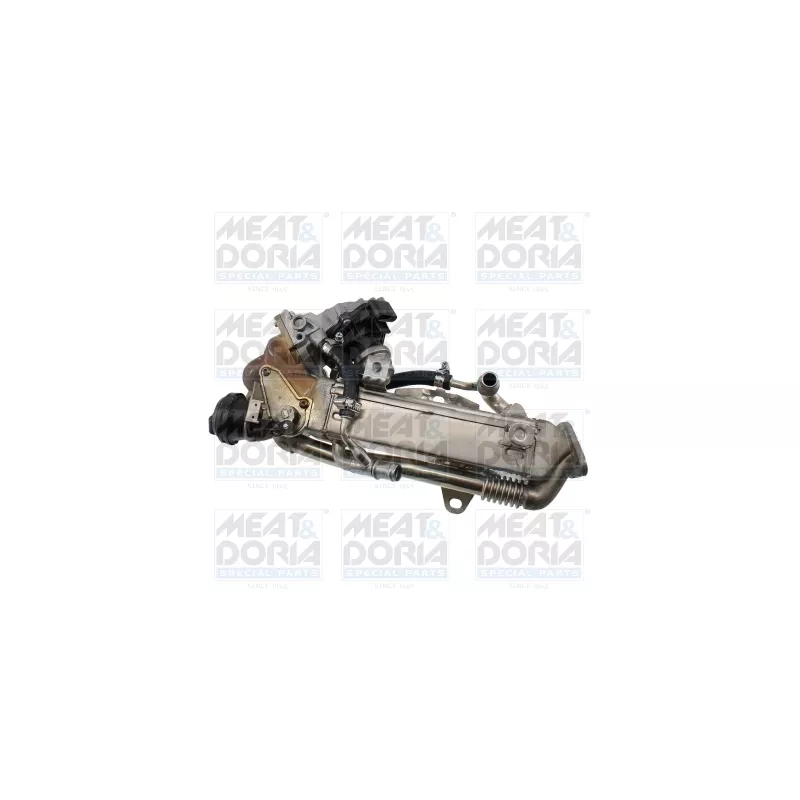 Module-EGR MEAT & DORIA 88966R