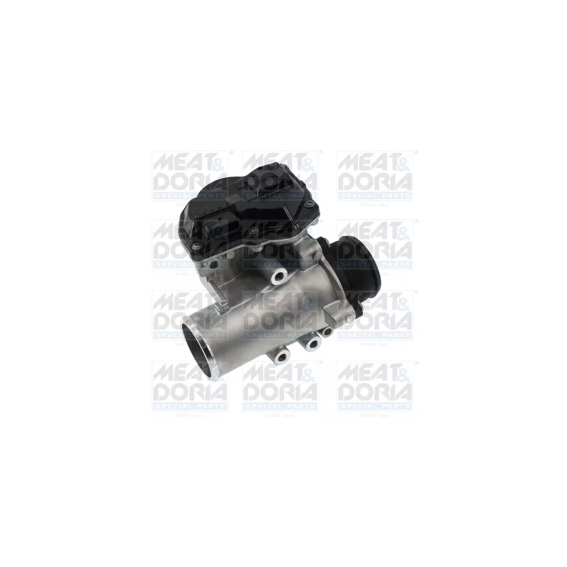 Vanne EGR MEAT & DORIA 88967