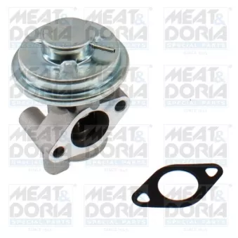 Vanne EGR MEAT & DORIA 88981