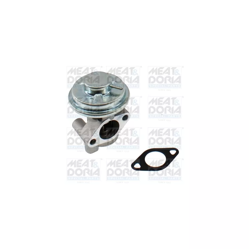 Vanne EGR MEAT & DORIA 88981