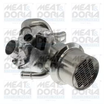 Module-EGR MEAT & DORIA 88993