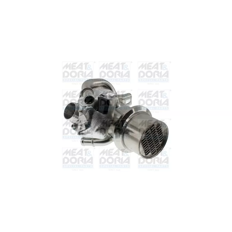 Module-EGR MEAT & DORIA 88993
