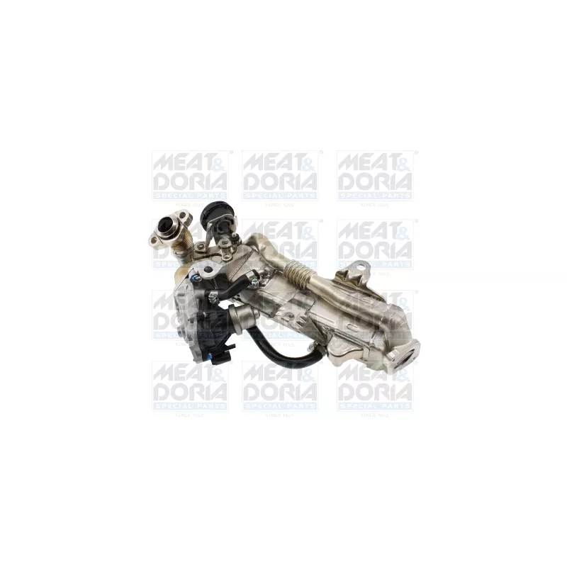 Module-EGR MEAT & DORIA 88997R