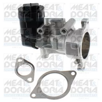 Vanne EGR MEAT & DORIA 88999