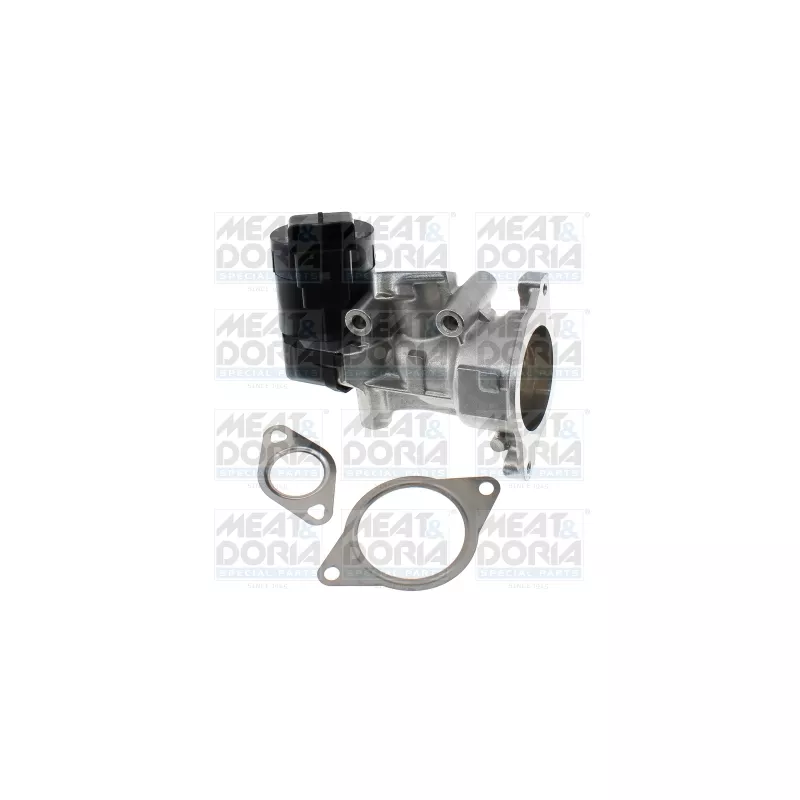 Vanne EGR MEAT & DORIA 88999