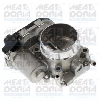 Corps papillon MEAT & DORIA 89715