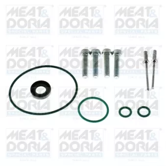 Kit de réparation, système à rampe commune MEAT & DORIA 98783