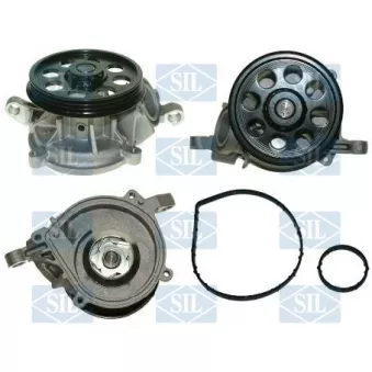 Pompe à eau, refroidissement du moteur Saleri SIL