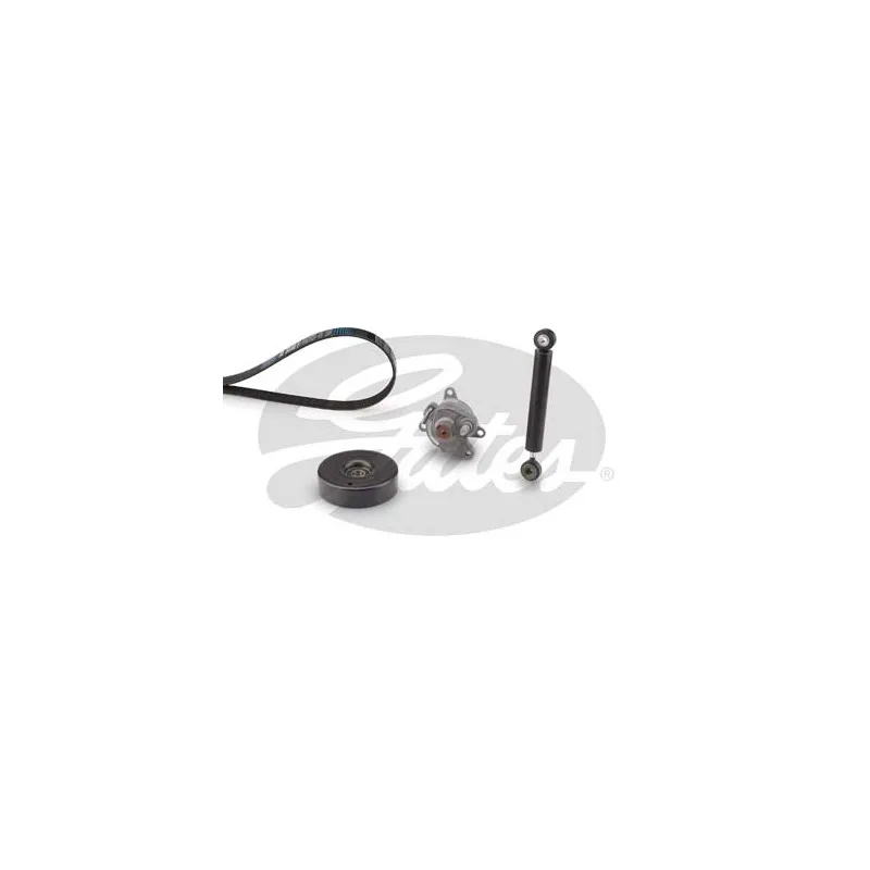 Jeu de courroies trapézoïdales à nervures GATES K056PK2203