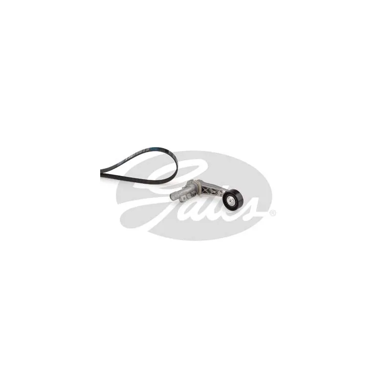 Jeu de courroies trapézoïdales à nervures GATES K156PK893