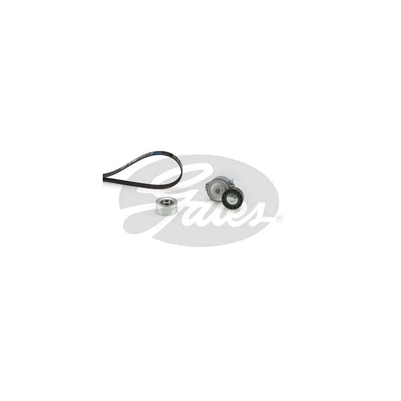 Jeu de courroies trapézoïdales à nervures GATES K246PK1700