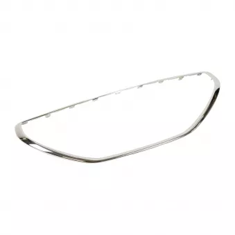 Cadre, grille de radiateur OE 1608112180