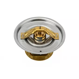 Thermostat, liquide de refroidissement DT 1.11207