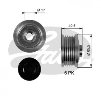 Poulie roue libre, alternateur GATES OAP7032