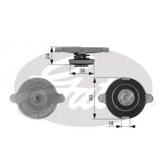 Bouchon de radiateur GATES RC131