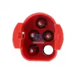 Appareil de commande, suspension pneumatique DT 1.21567 - Visuel 2