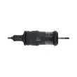 Amortisseur, suspension de la cabine DT 1.23076 - Visuel 1