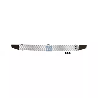 Grille de radiateur DT 1.23475