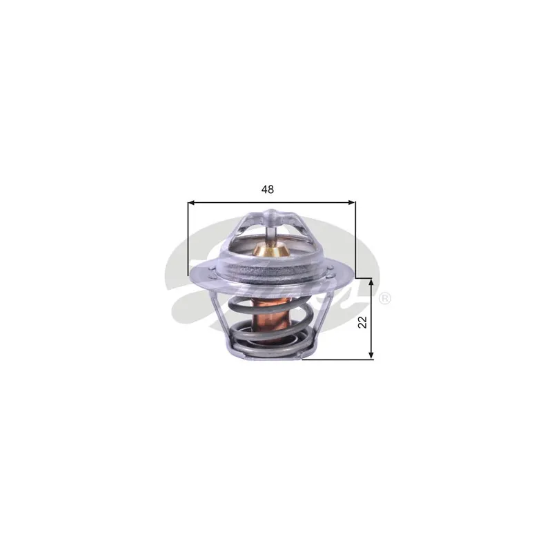 Thermostat d'eau GATES TH00391G1