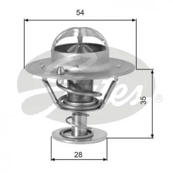 Thermostat d'eau GATES TH00782G1
