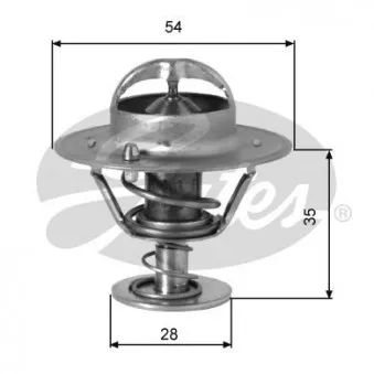 Thermostat d'eau GATES TH00791G1