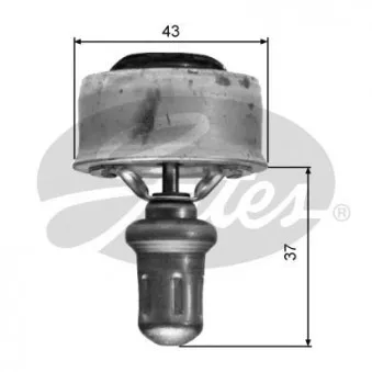 Thermostat d'eau GATES TH01489