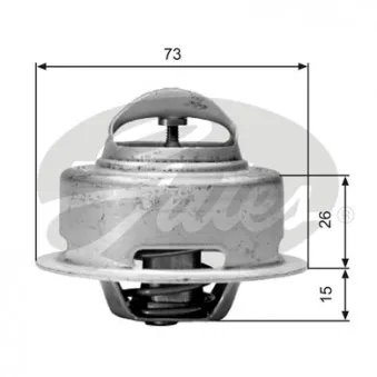 Thermostat d'eau GATES TH01591G1