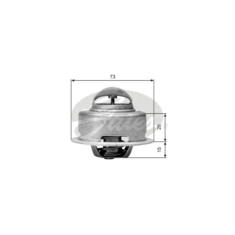 Thermostat d'eau GATES TH01591G1
