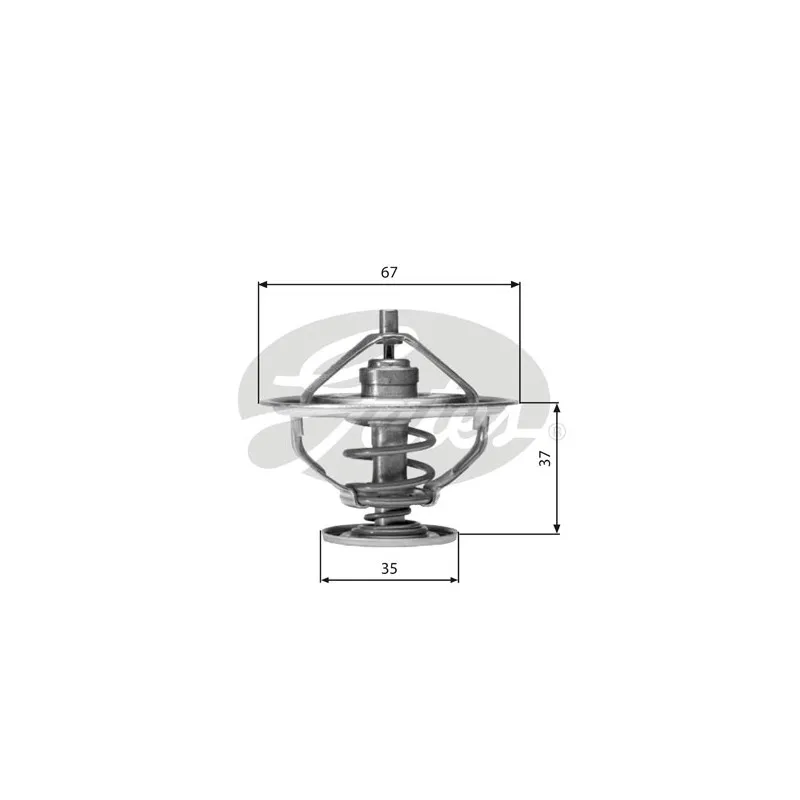 Thermostat d'eau GATES TH01682G1