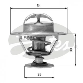 Thermostat d'eau GATES TH02491G1
