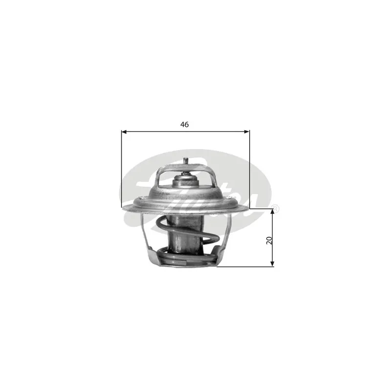 Thermostat d'eau GATES TH02791G1