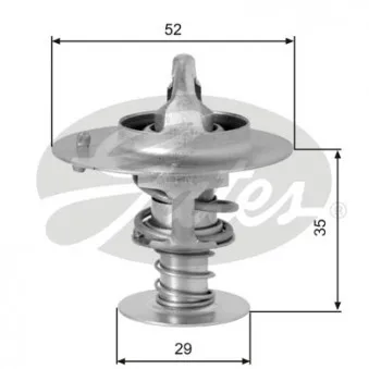 Thermostat d'eau GATES TH03382G1