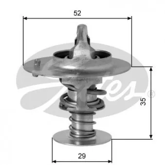 Thermostat d'eau GATES TH03391G1
