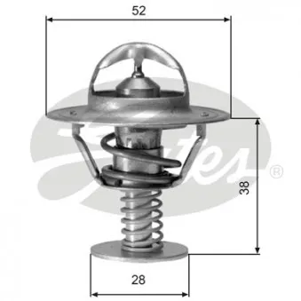 Thermostat d'eau GATES TH05077G1