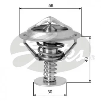 Thermostat d'eau GATES TH05377G1