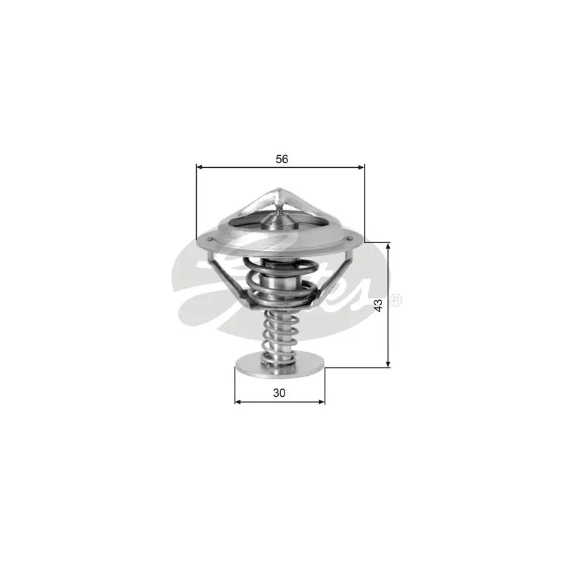 Thermostat d'eau GATES TH05377G1