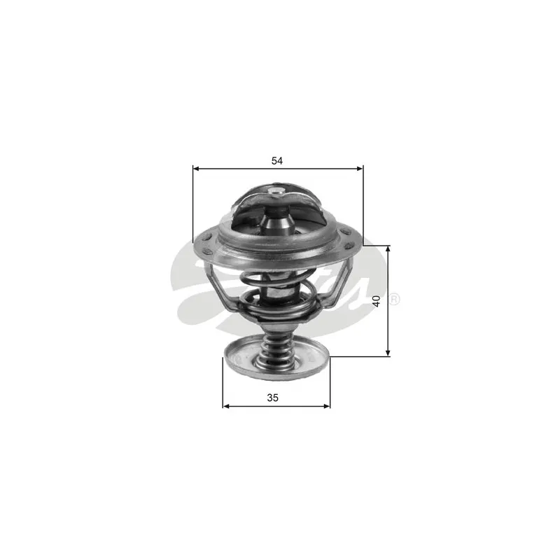 Thermostat d'eau GATES TH06082G1
