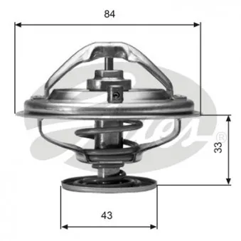 Thermostat d'eau GATES TH06582G1