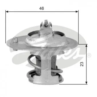 Thermostat d'eau GATES TH06691G1
