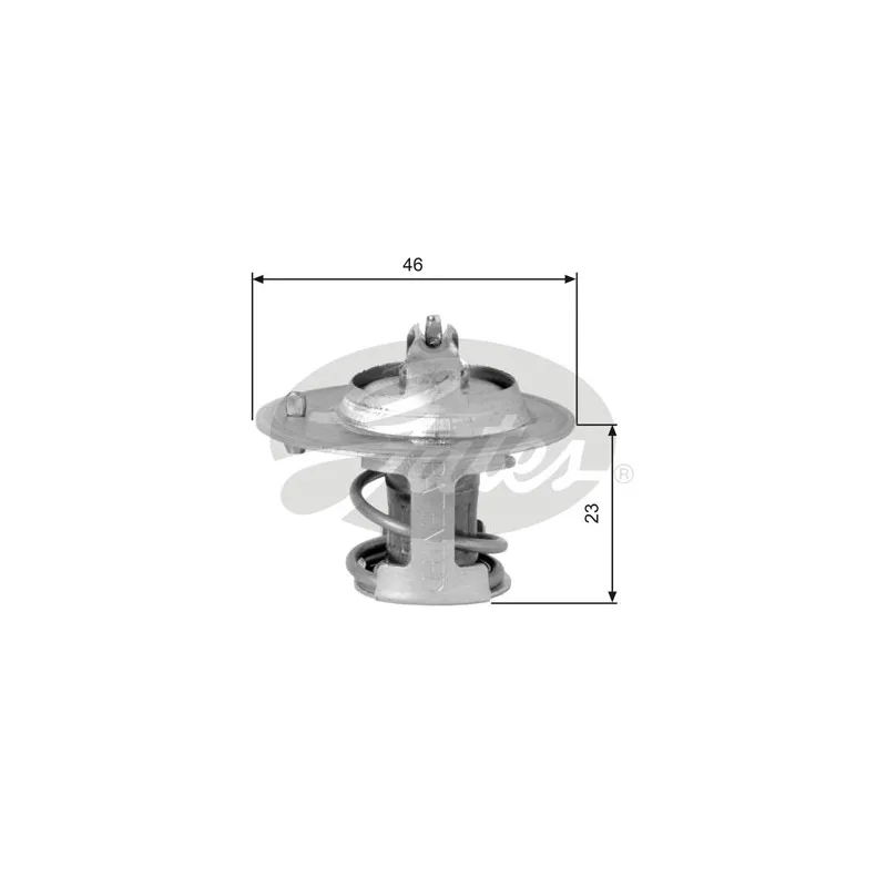 Thermostat d'eau GATES TH06691G1
