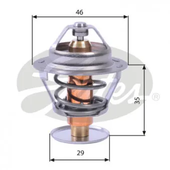 Thermostat d'eau GATES TH10482G1
